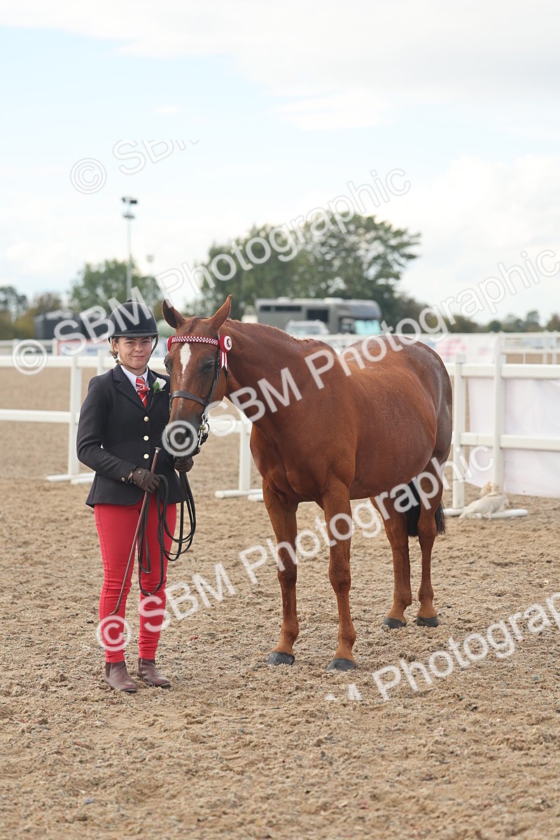 SBM_08567 - Class 29 - IH Veteran Pony