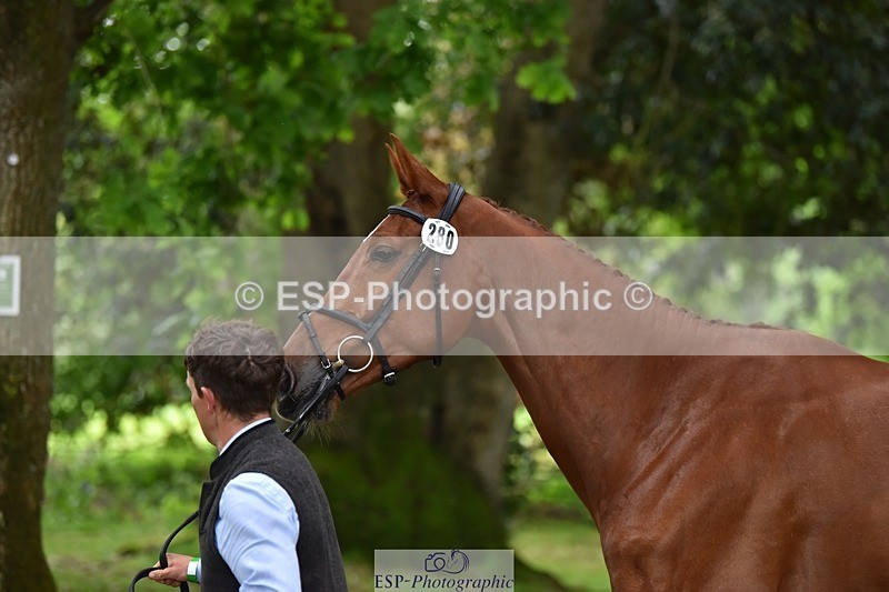 240522-171532-01486 - 280-SHANNONDALE_ARNOLD-Tom_McEwen