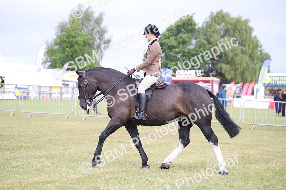 SBM_11240 - Class 92-93 - LIHS BSHA Rising Star Cobs