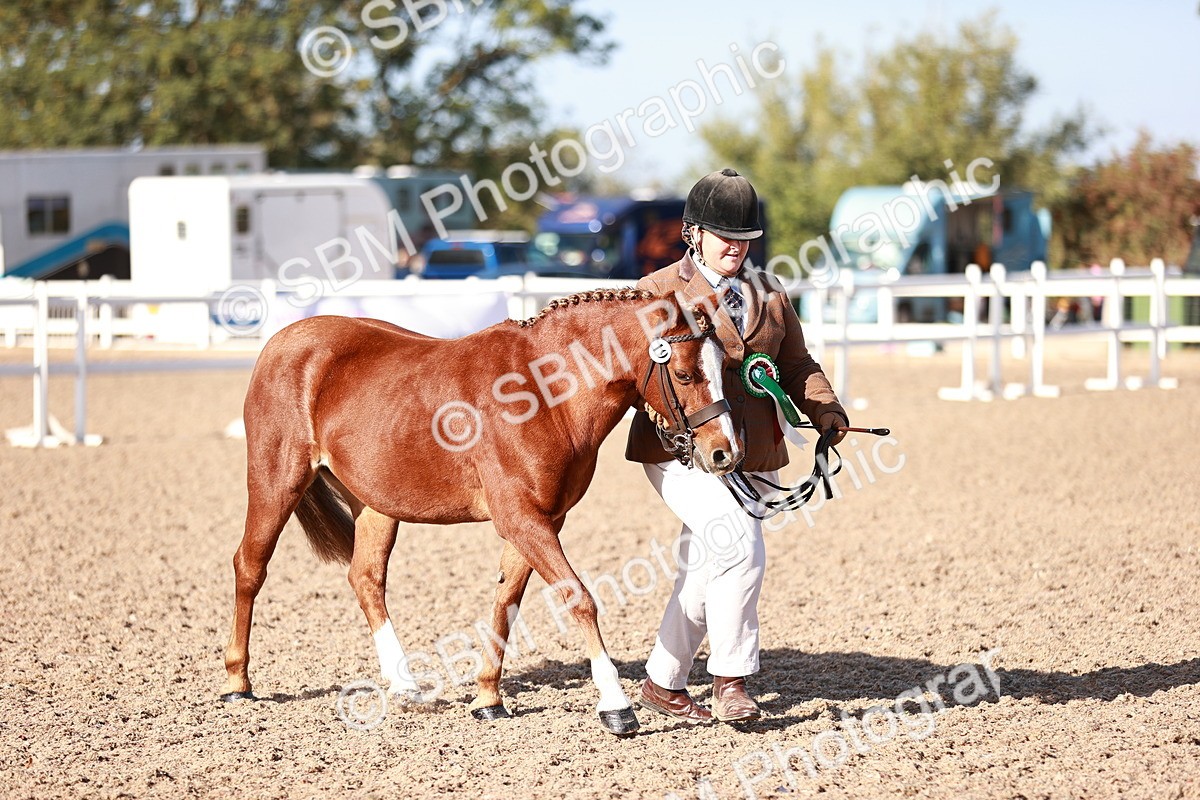 SBM_22000 - Class 701 - Best Turned Out
