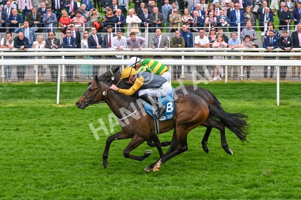 150524-Race 6-Shadow Army-4598 - Race 6 4.45pm British Stallion Studs EBF Novice Stakes