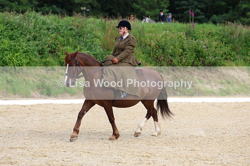 3E7A1606 - Class 2: Intro 2 2024 Section B