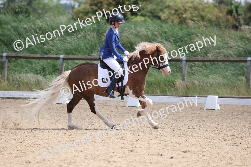 20250614-1339 - Class 6 - Elementary 1