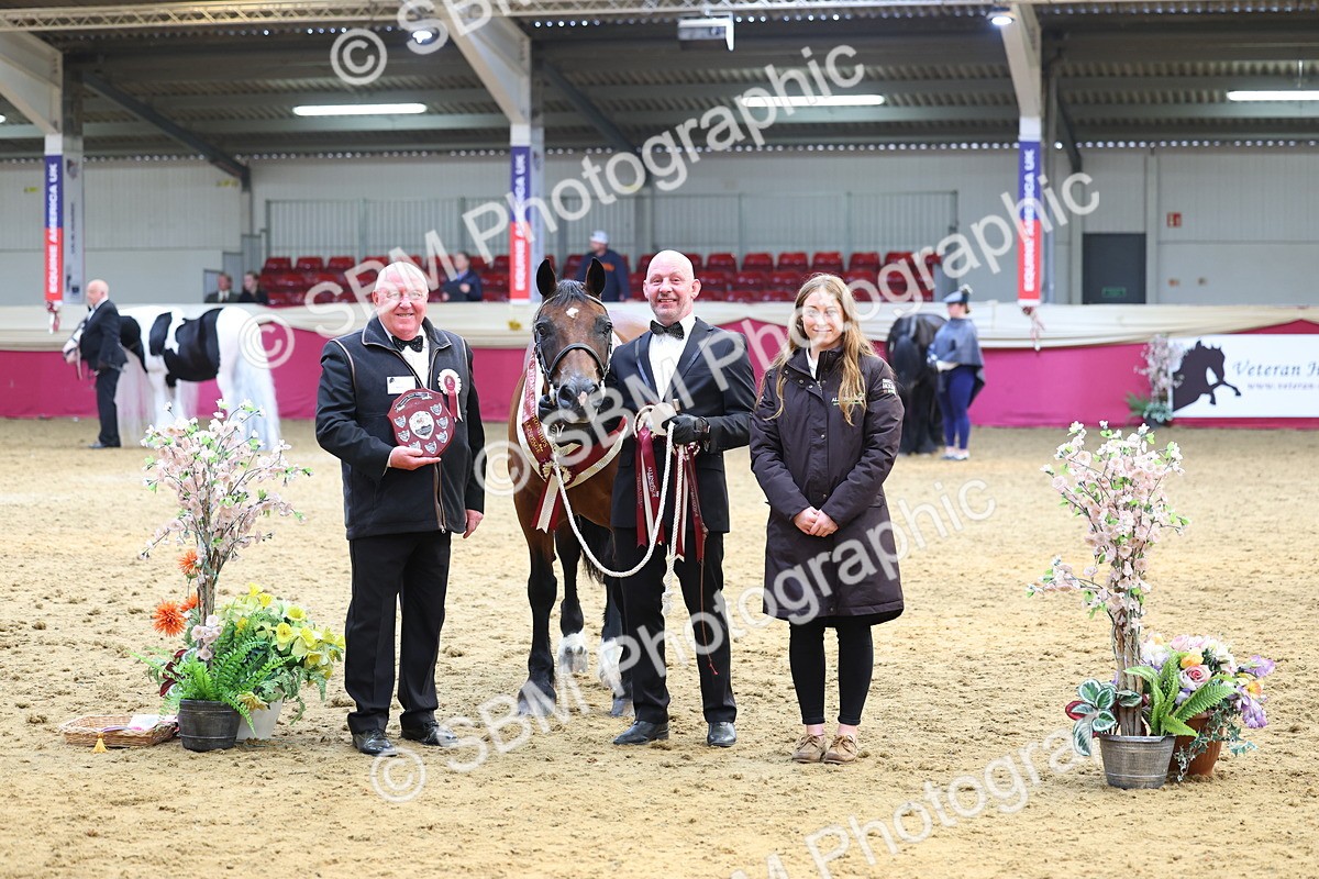 SBM_23013 - Class 903 - Supreme Final - IH Pre Vet