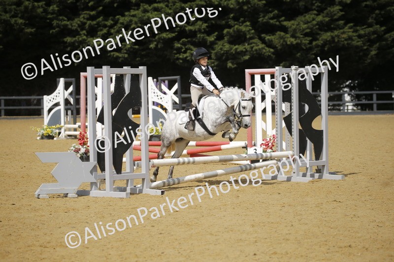 20250622-3771 - 50cm