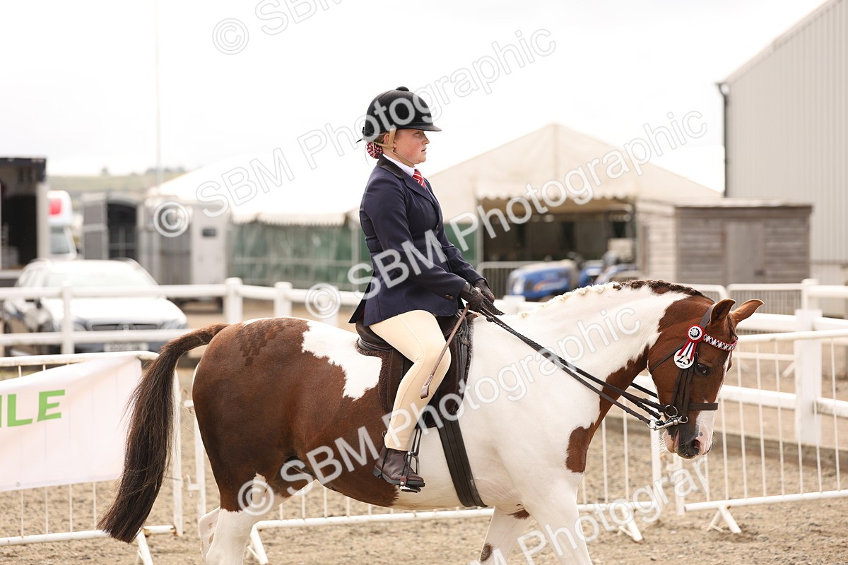 SBM_01625 - Class 52 - Ridden Veteran