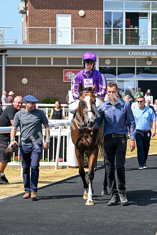 160726-Race 2-Hatamoto-4271 - Race 2 14.28pm By Chen Presidential Apprentice Handicap