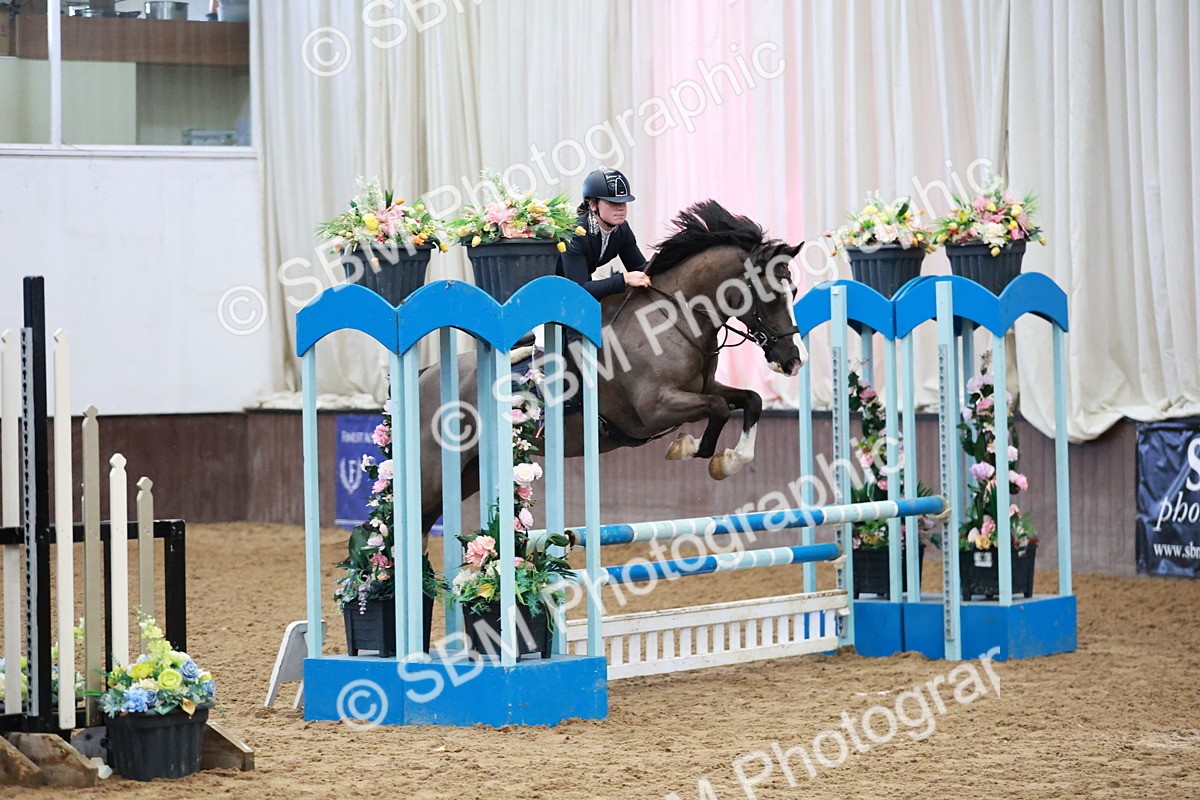 SBM_000295 - Class 2 - Senior British Novice - 90cm