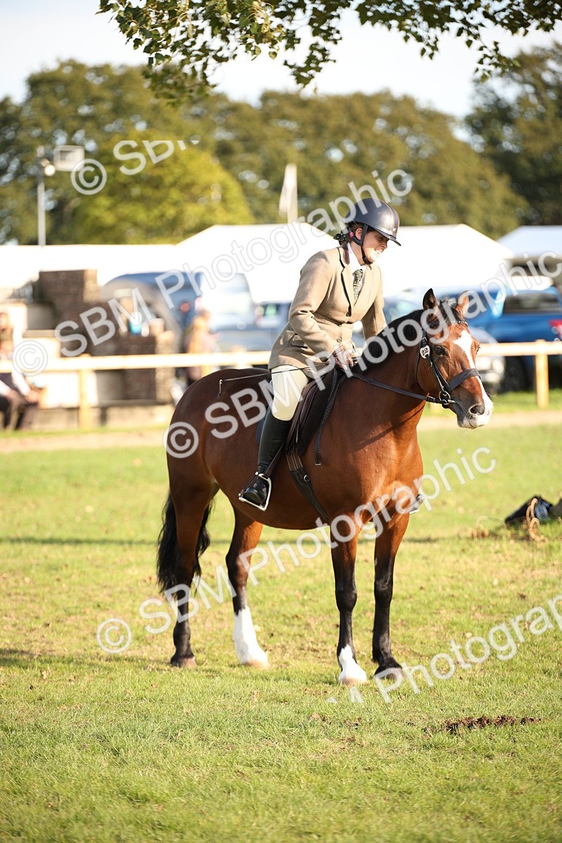 SBM_54326 - S27 - Mature Veteran - Ridden