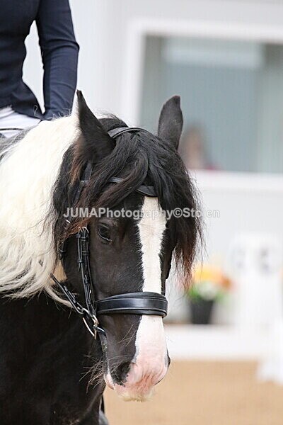 SIAL7037 - GDG Bogenraith Friday 26th Sept 2025