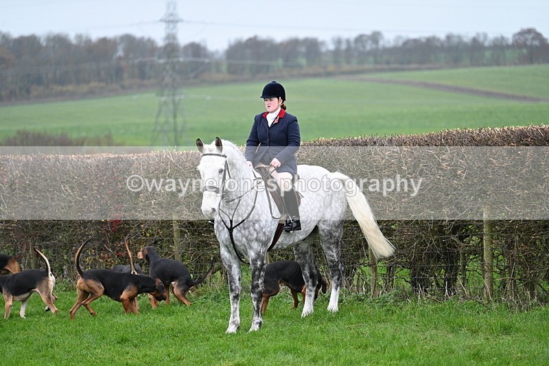 WJ7_8830 - Meet Staff & Hounds