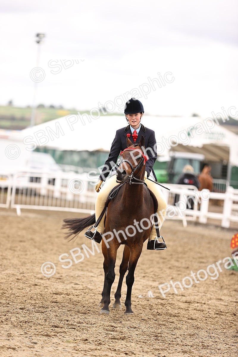 SBM_01408 - Class 54 - Riding Club Horse Pony