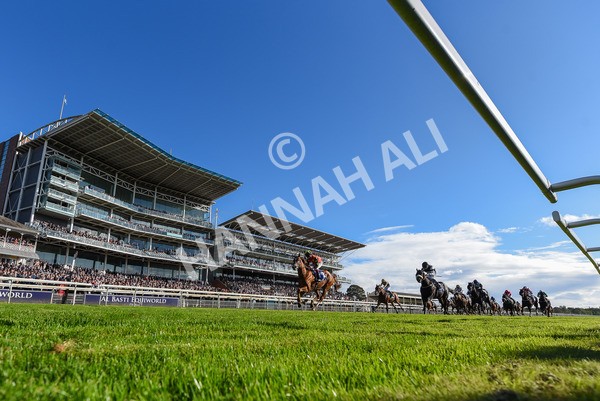 141023-Race 3-Montassib-3970 - Race 3 2.25pm Coral Sprint Trophy Handicap