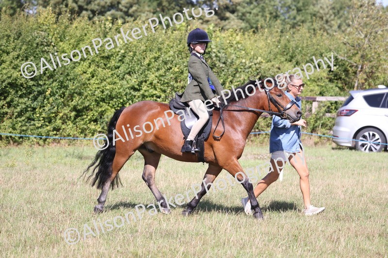 20260906-2350 - Class 16 - Family Pony