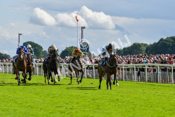 150723-Race 5-Specific Times-8754 - Race 5 4.20pm John Smith's Nursery Handicap