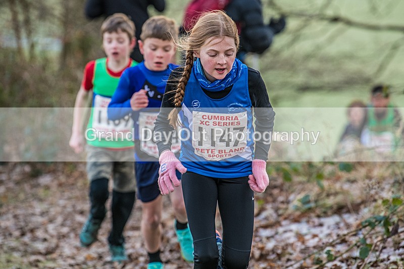 Cumbria XC-43 - Cumbria Cross Country Championships (Junior & Senior Races) Saturday 3rd January 2026