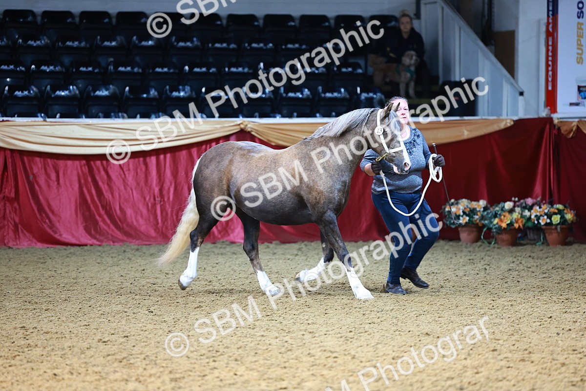 SBM_22190 - Class 902 - Supreme Final - IH Diamond