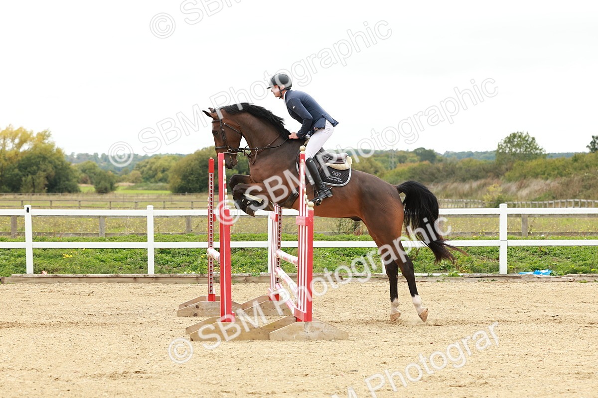 1I0A7012 - Class 2 - Senior British Novice