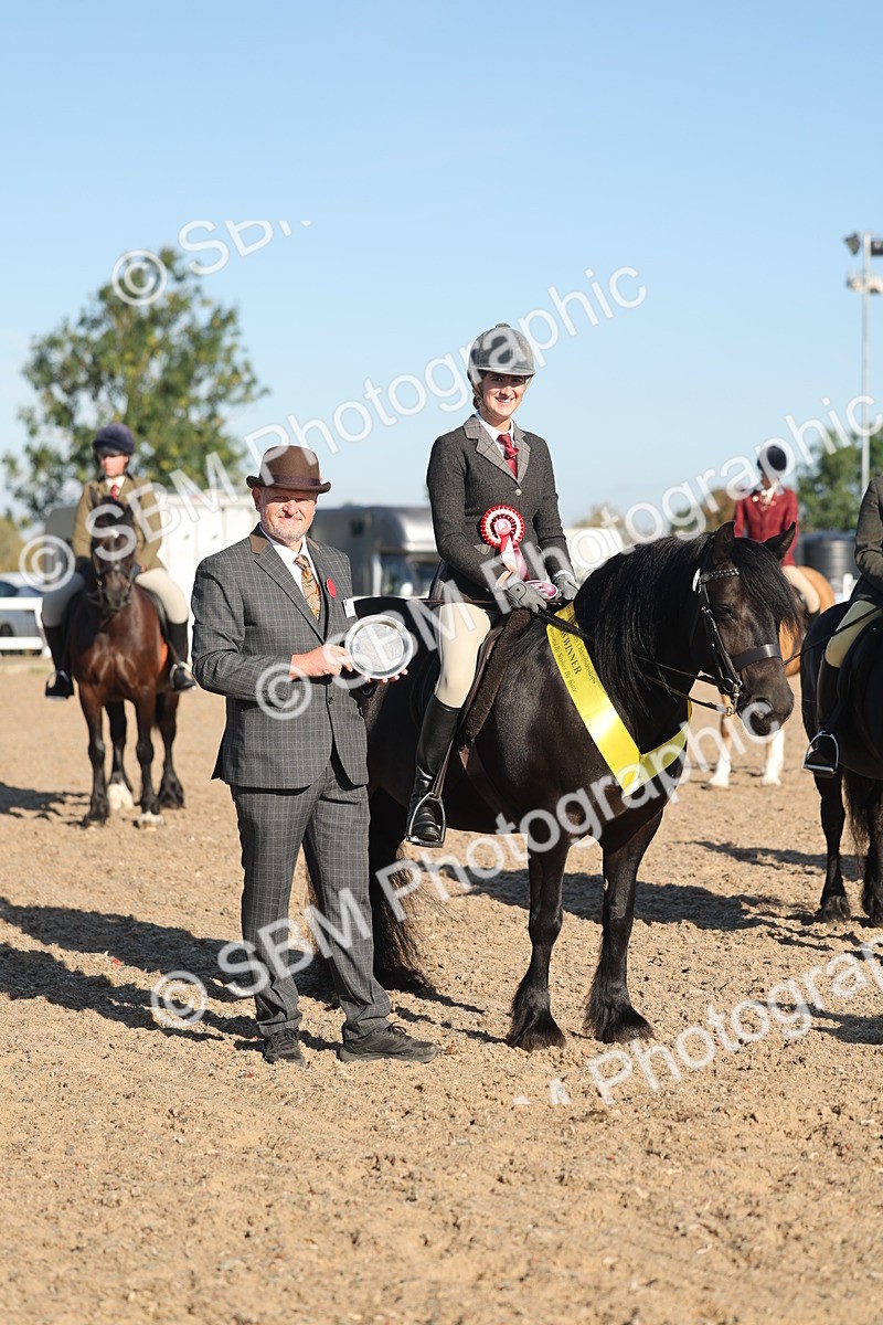 SBM_11103 - Class 302 - Ridden M&M Large Breeds