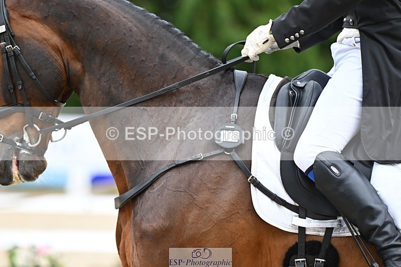 240524-175849-11534 - 162-HAZZLE_DAZZLE-Henry_Hobby