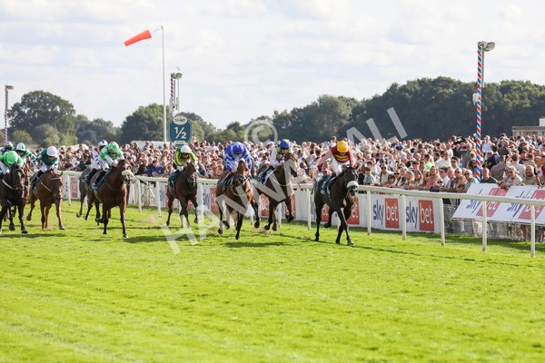 240824-Race 6-Tropical Storm-9192 - Race 6 4.45pm Julia Graves Roses Stakes