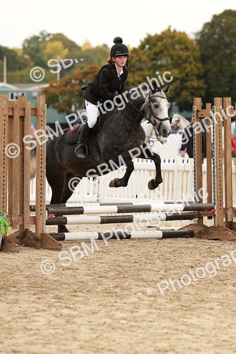 SBM_57596 - J11 - Junior Pony 50cm Championship