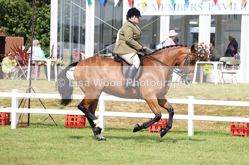 3E7A9318 - Class 4: Rising Star M/H Hunter