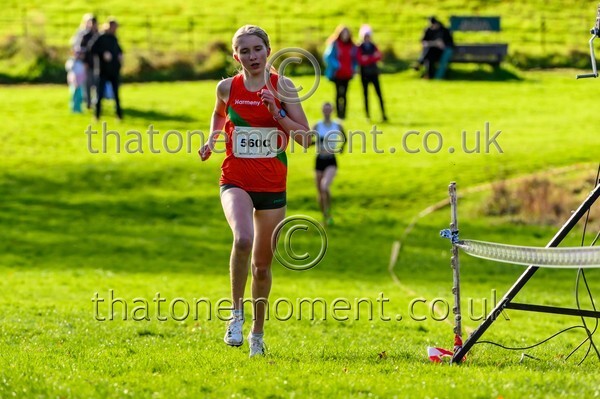 NatRel25-925042 - Young Female Set Two