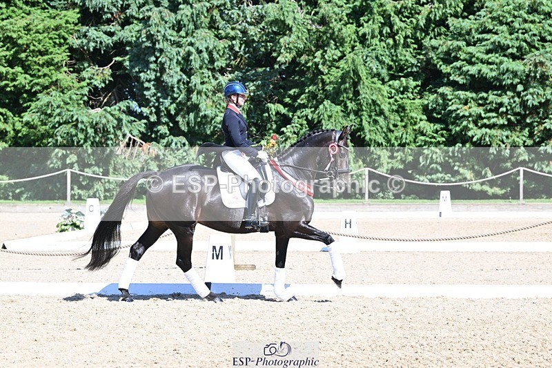 240811-154101-06771 - Inter I Gold