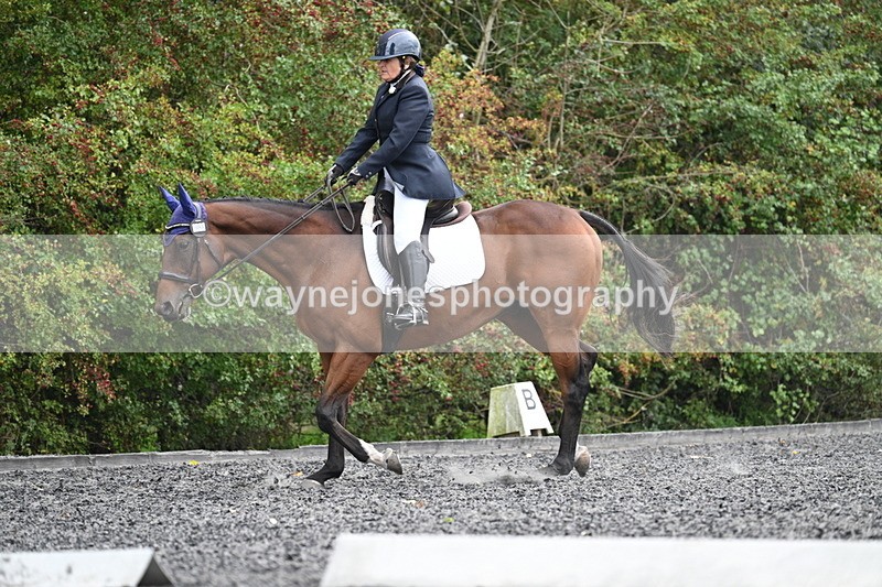 WJ7_6486 - Time 14:49 to 15:14