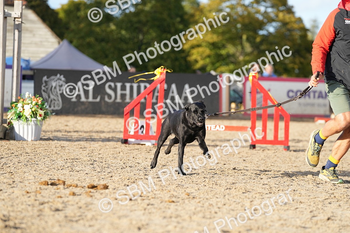 SBM_29373 - J44 - Horse & Hound Open 70cm
