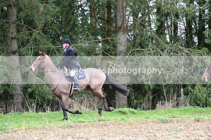 WJ6_9748 - Line Four