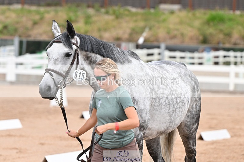 250716-143645-01247 - Trot Up 2.30 to 3.30