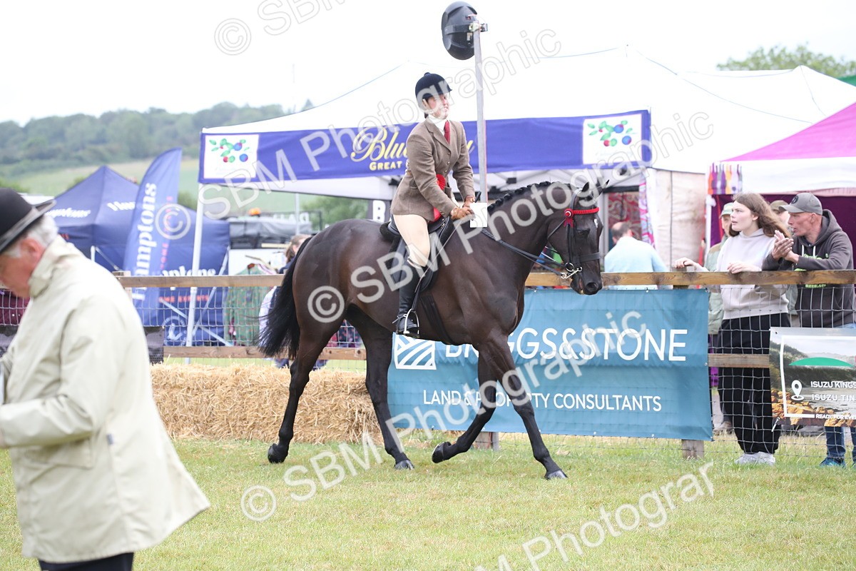 SBM_11473 - Class 94 - LIHS BSHA Racehorse to Showhorse