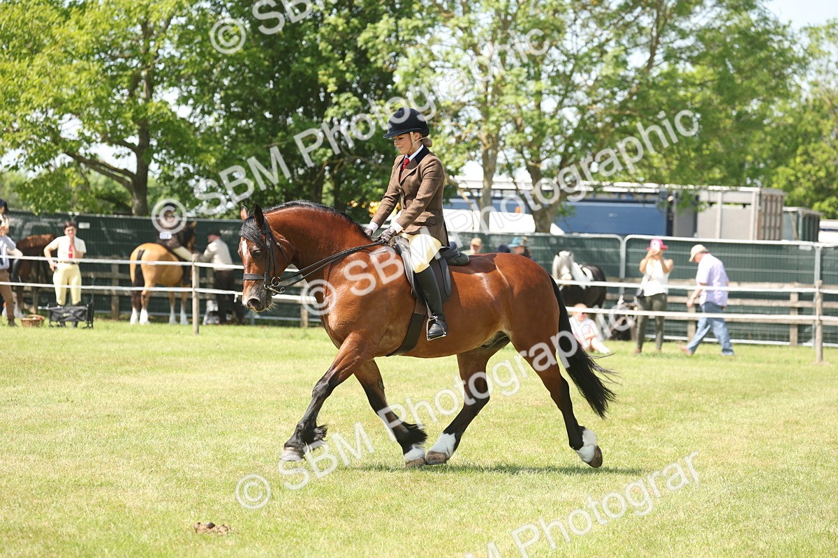 SBM_06943 - Class 26-30 - Mountain and Moorland Ridden