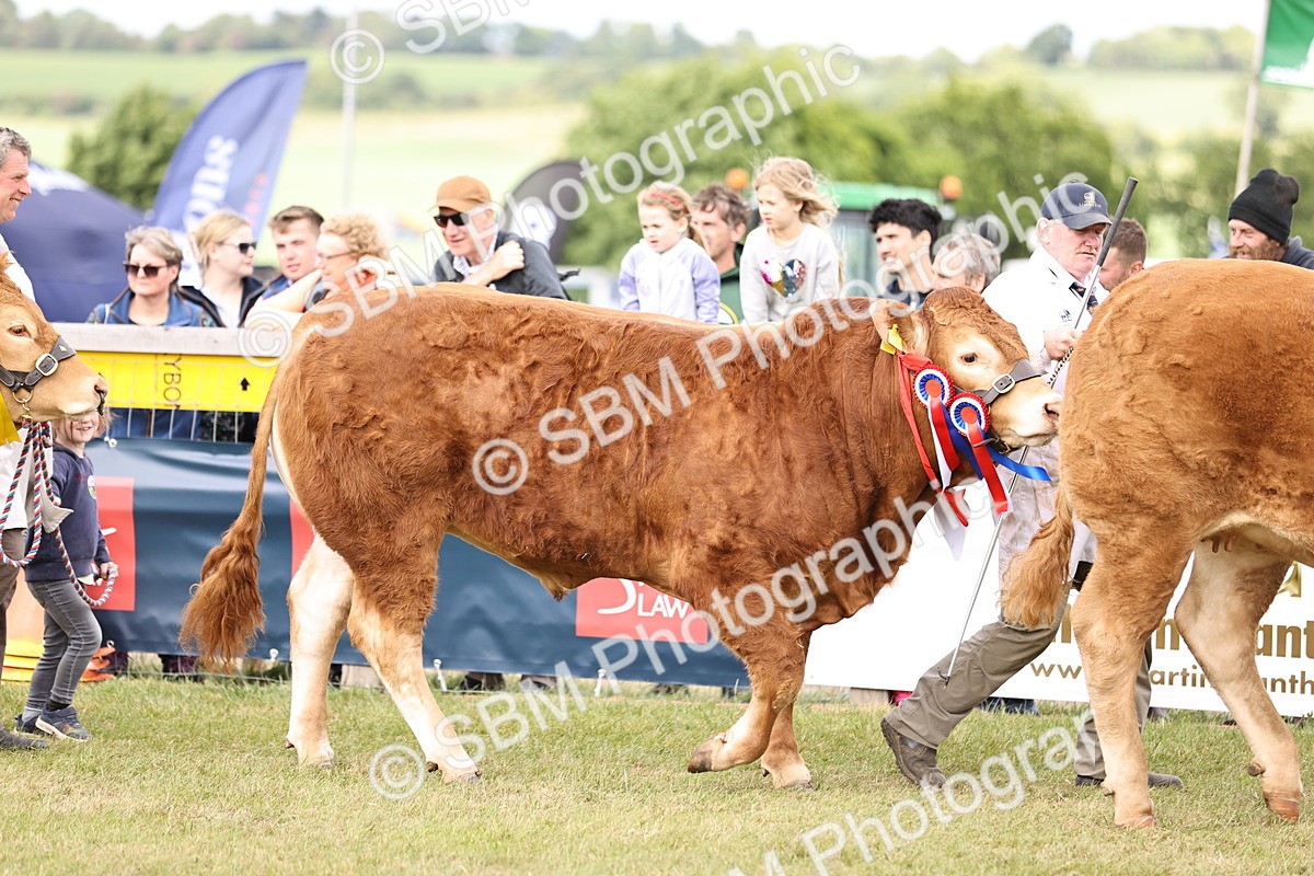 SBM_16890 - Grand Parade