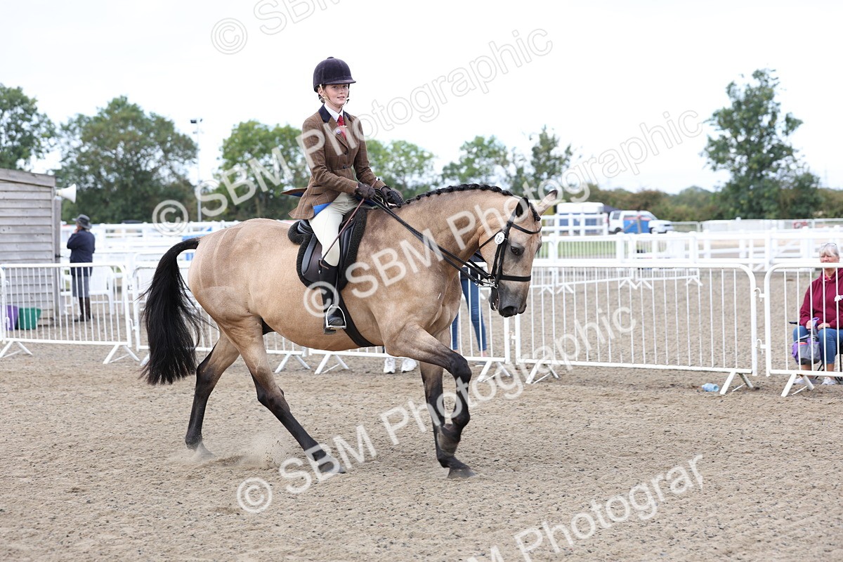 SBM_01483 - Class 52 - Ridden Veteran