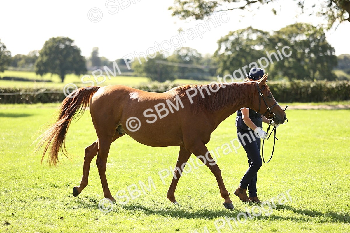 SBM_26115 - S5 - Novice & Newcomers In Hand