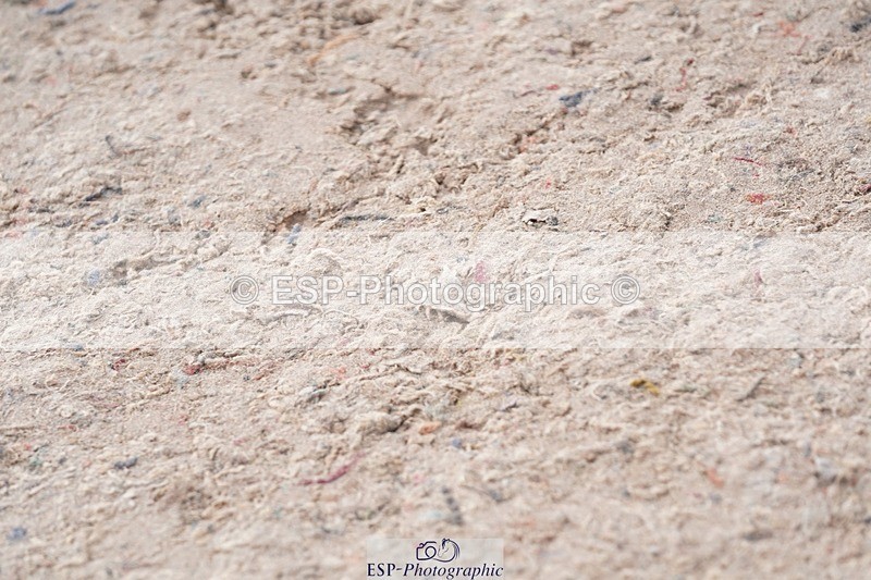 250425-094826-08369 - Cls 30 Young Horse 6yr old