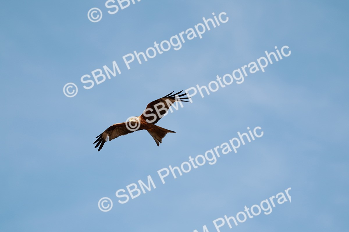 1I0A9477 - Class 7-8  - Elementary 1-PYO