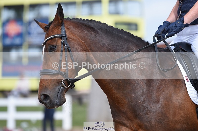 230701A-151250-07356 - Cls 9 Novice 28