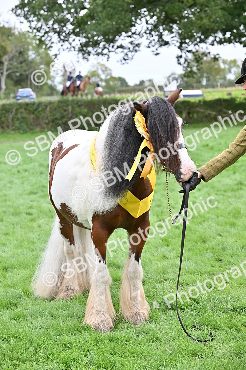 SBM_65044 - In Hand Pony & Younstock Supreme Championship