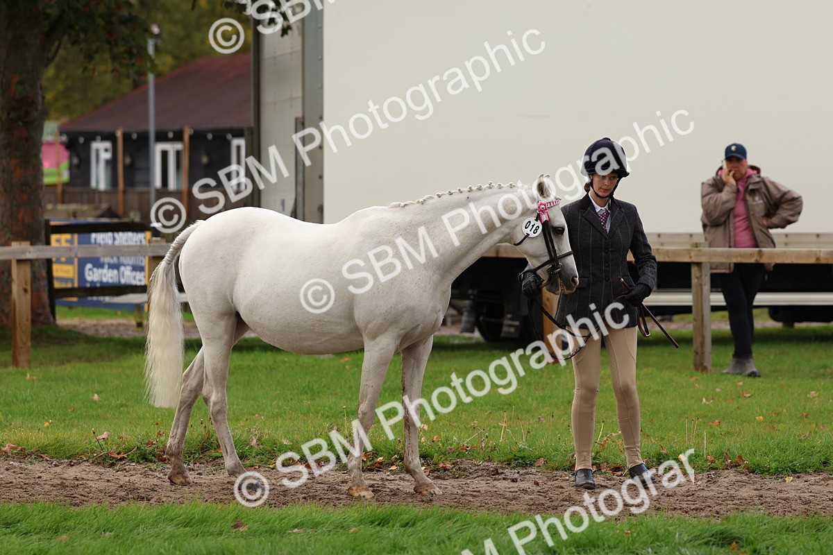 SBM_39494 - S24 - Young Veteran In Hand