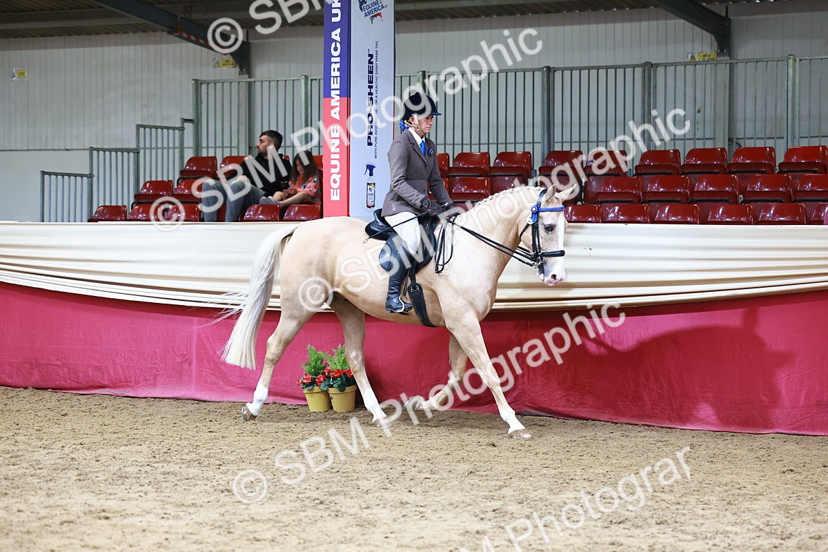 SBM_23683 - Class 905 - Supreme Final - Ridden Veteran