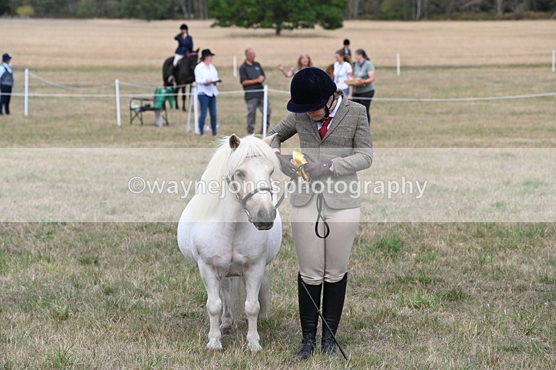 WJ6_6311 - Class 19 In-hand Veterans (Uploaded correct folder)