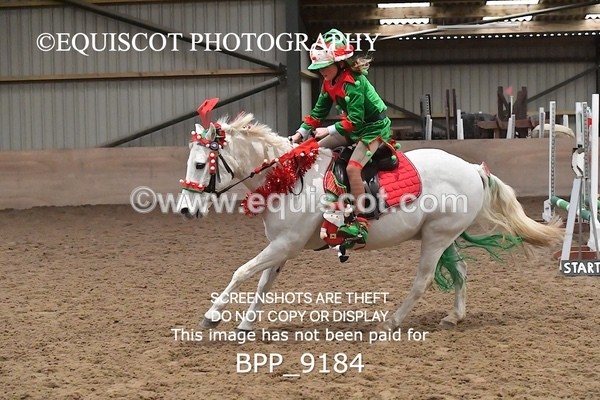BPP_9184 - CLASS 4 50CM Novice Show Jumping