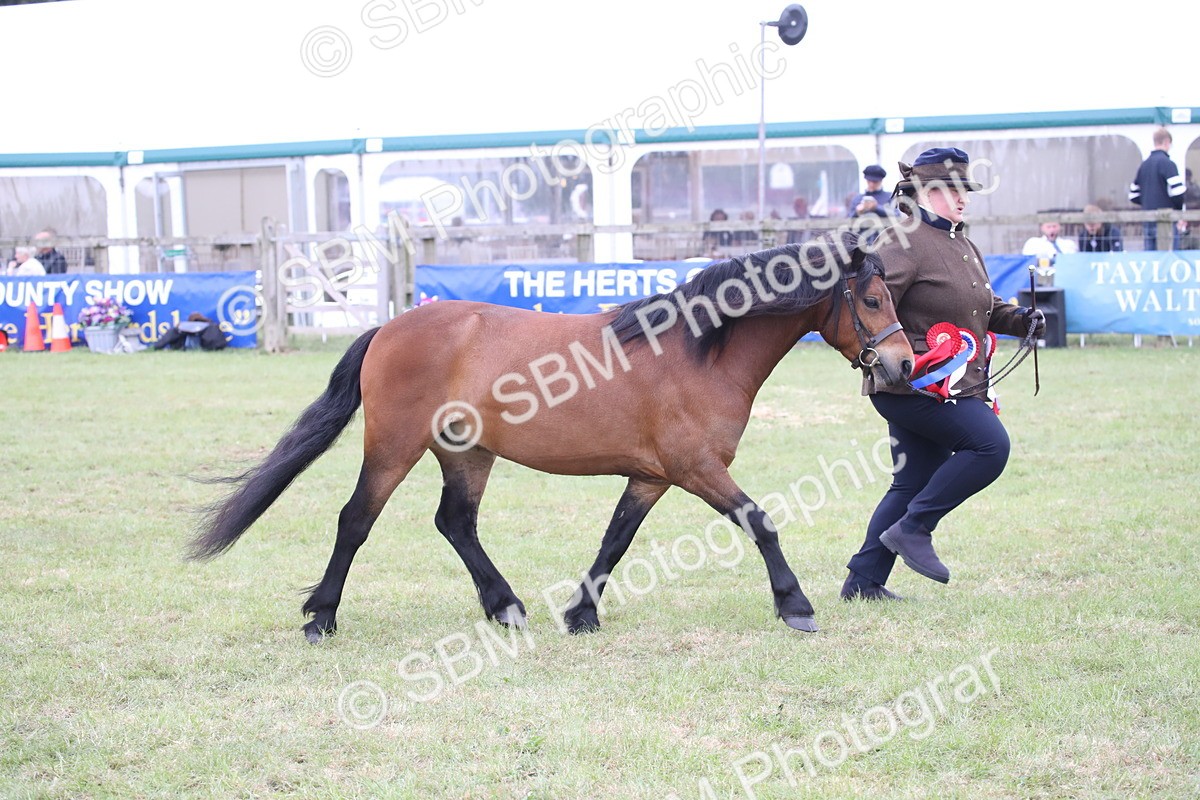 SBM_09816 - Ch 50 - Price Family Supreme In Hand