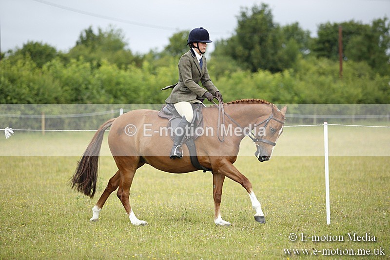 BVR160717-258 - Ring 1 BVRC Show 16/07/17