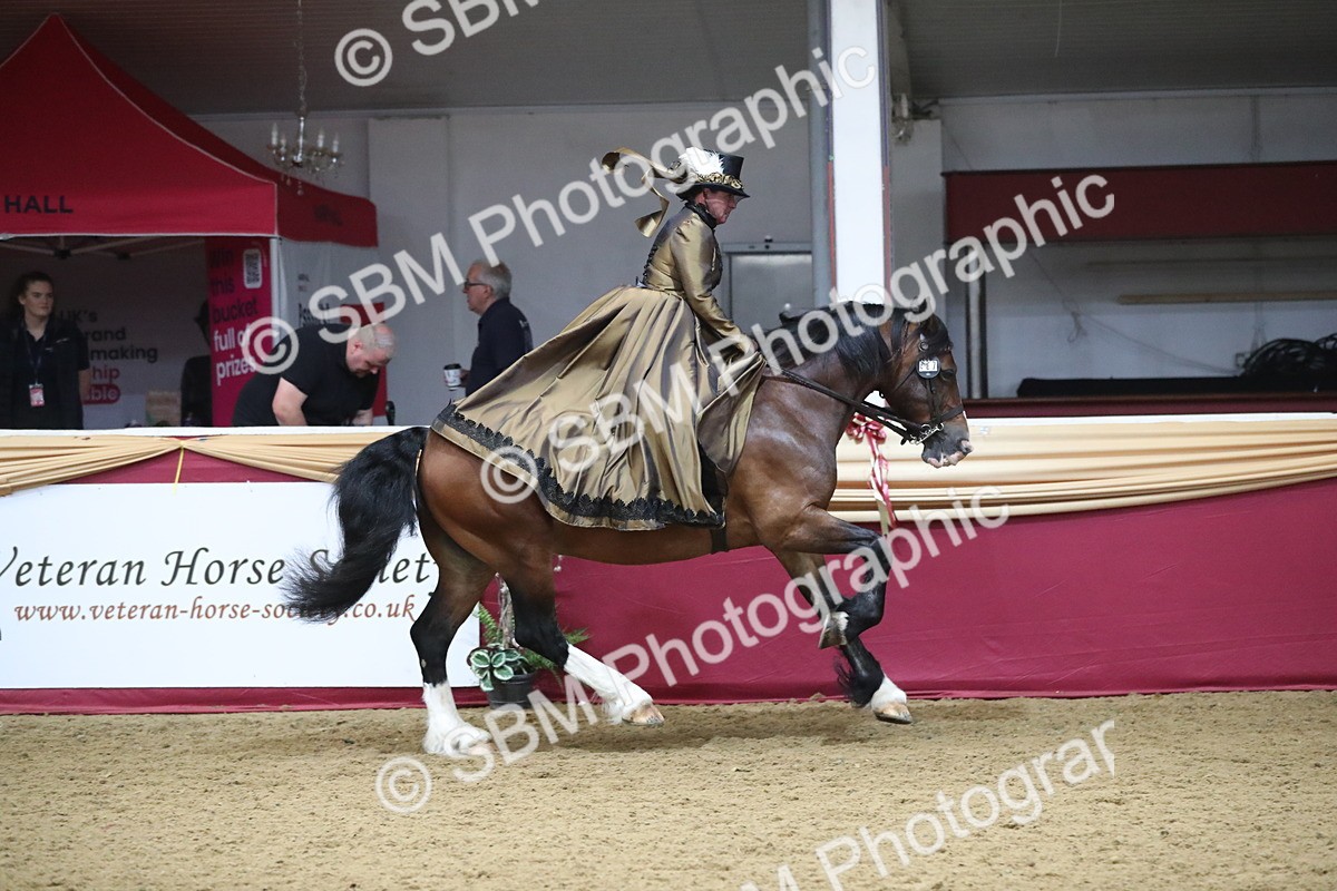 SBM_11996 - Class 106 Ridden Costume- Astride Adult (15-19)
