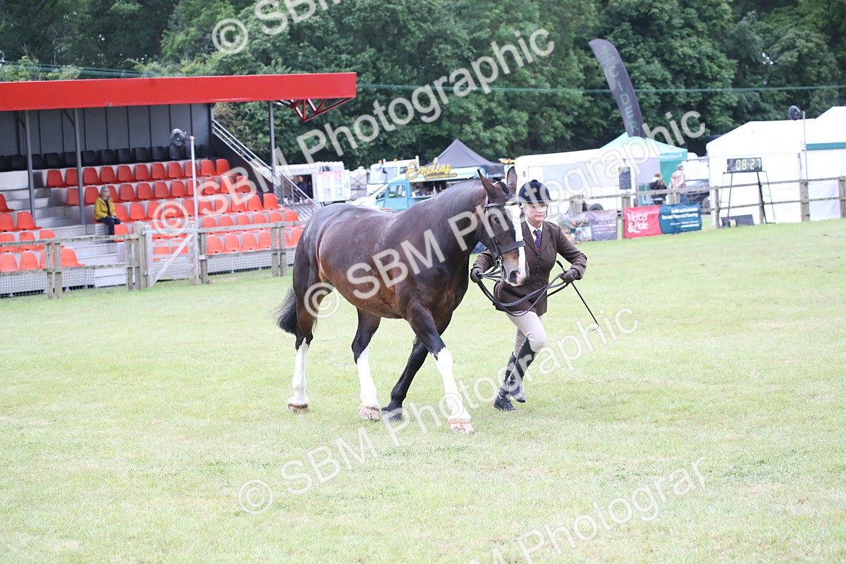 SBM_11269 - Class 92-93 - LIHS BSHA Rising Star Cobs